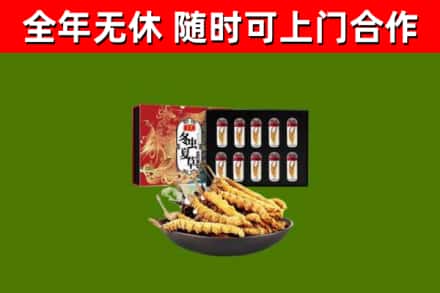 克东回收冬虫夏草价格